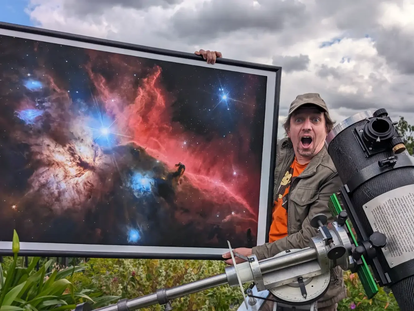 Betty’s Horse Sale